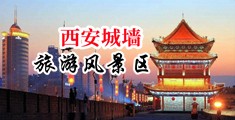 8x8x拨插拨插永久免费网站中国陕西-西安城墙旅游风景区